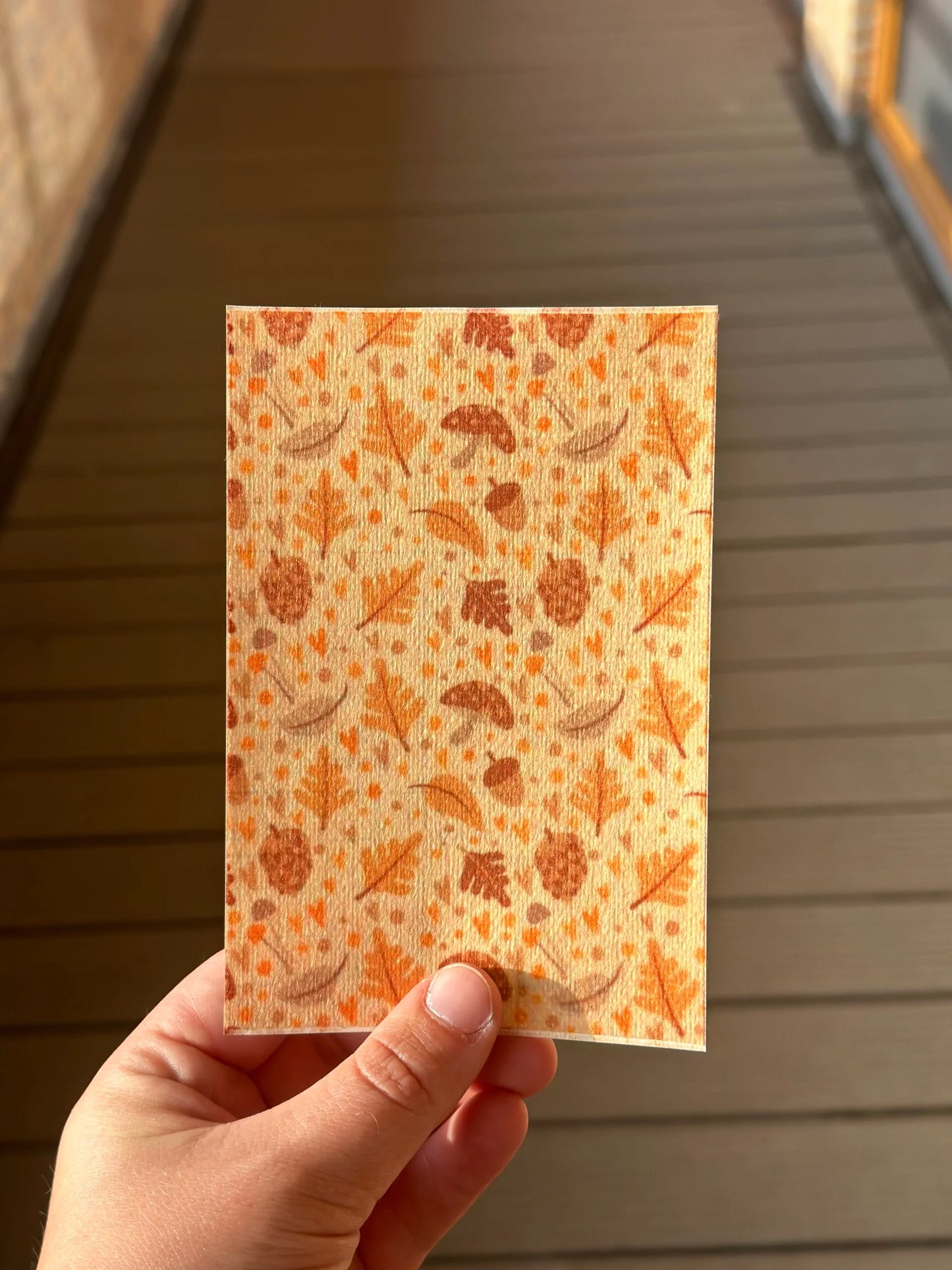 Sonde pleister, herfst 2.