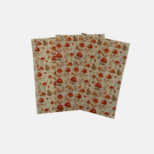 Sondepleister | Paddenstoeltjes | 3-Pack